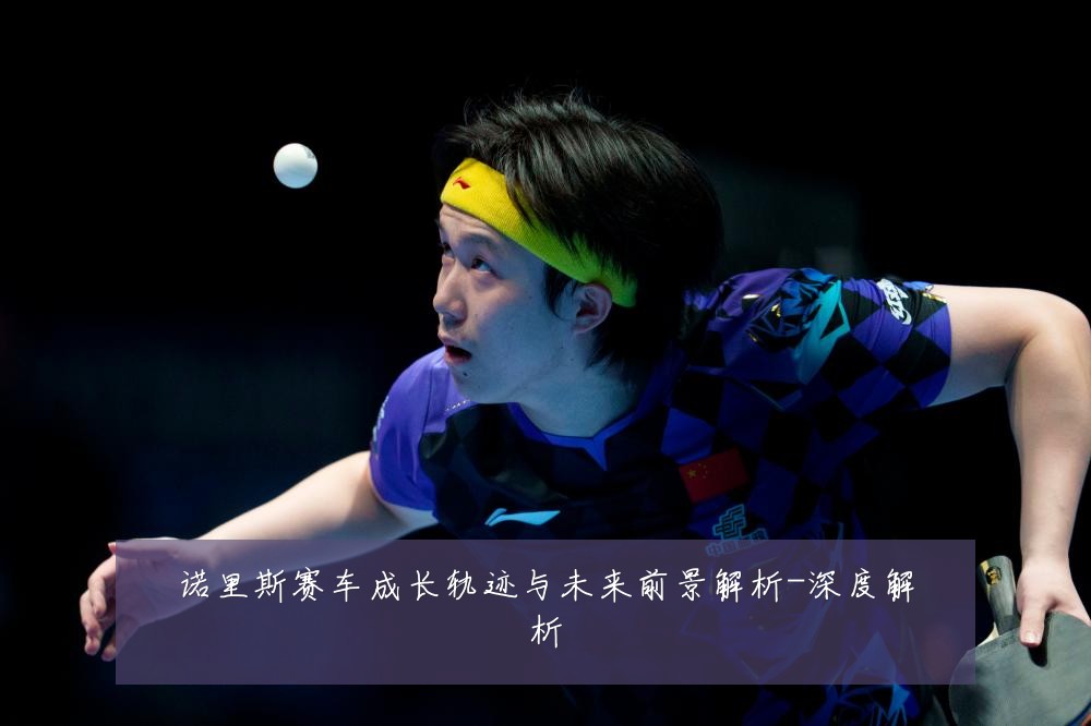 诺里斯赛车成长轨迹与未来前景解析-深度解析